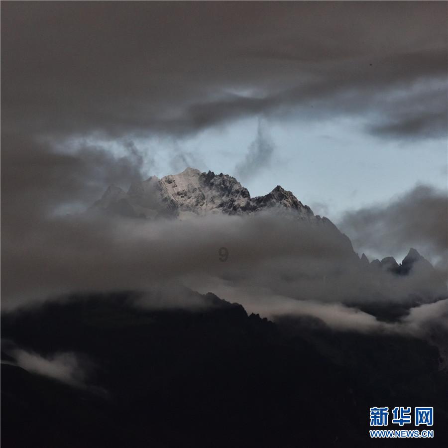 救援受困的萌兔