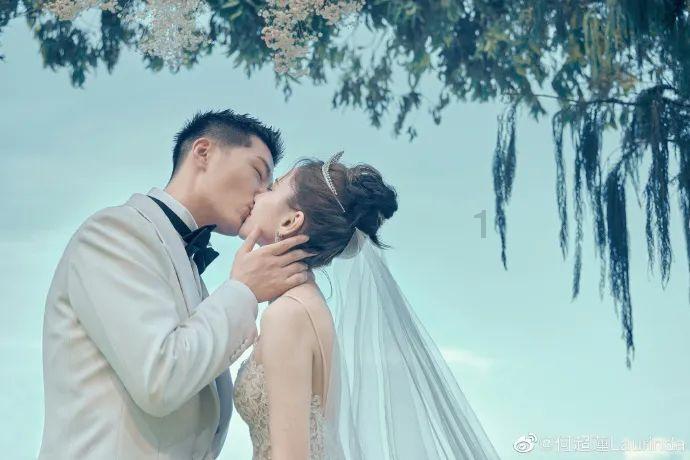 如何养好空气凤梨？