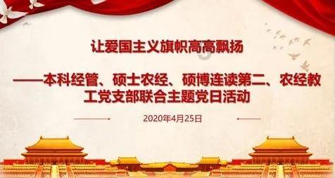 熊仔拼图