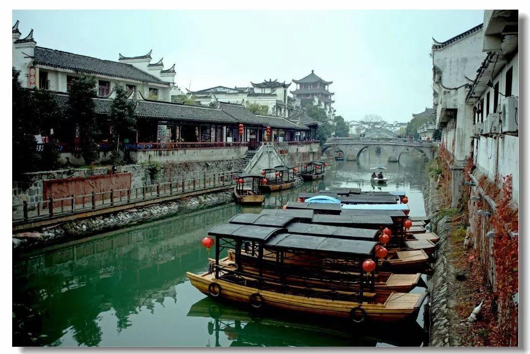 细胞分裂6